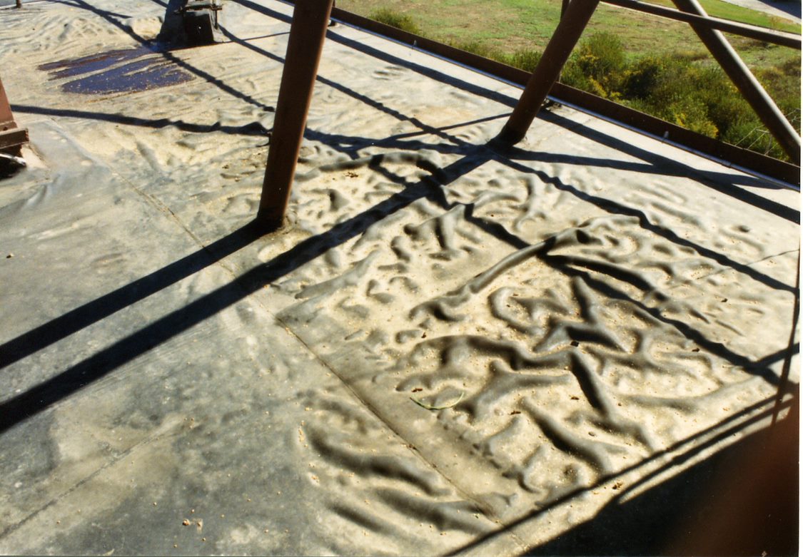 Structural Roof Damage Assessment in Birmingham