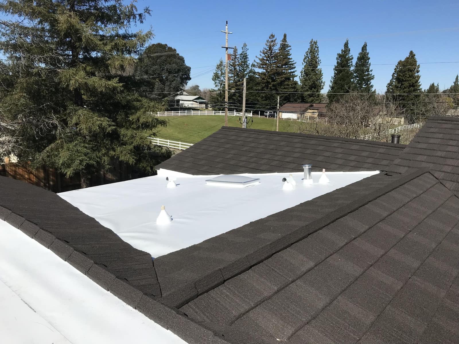 Veterinary Clinic & Animal Hospital Roofing in Birmingham